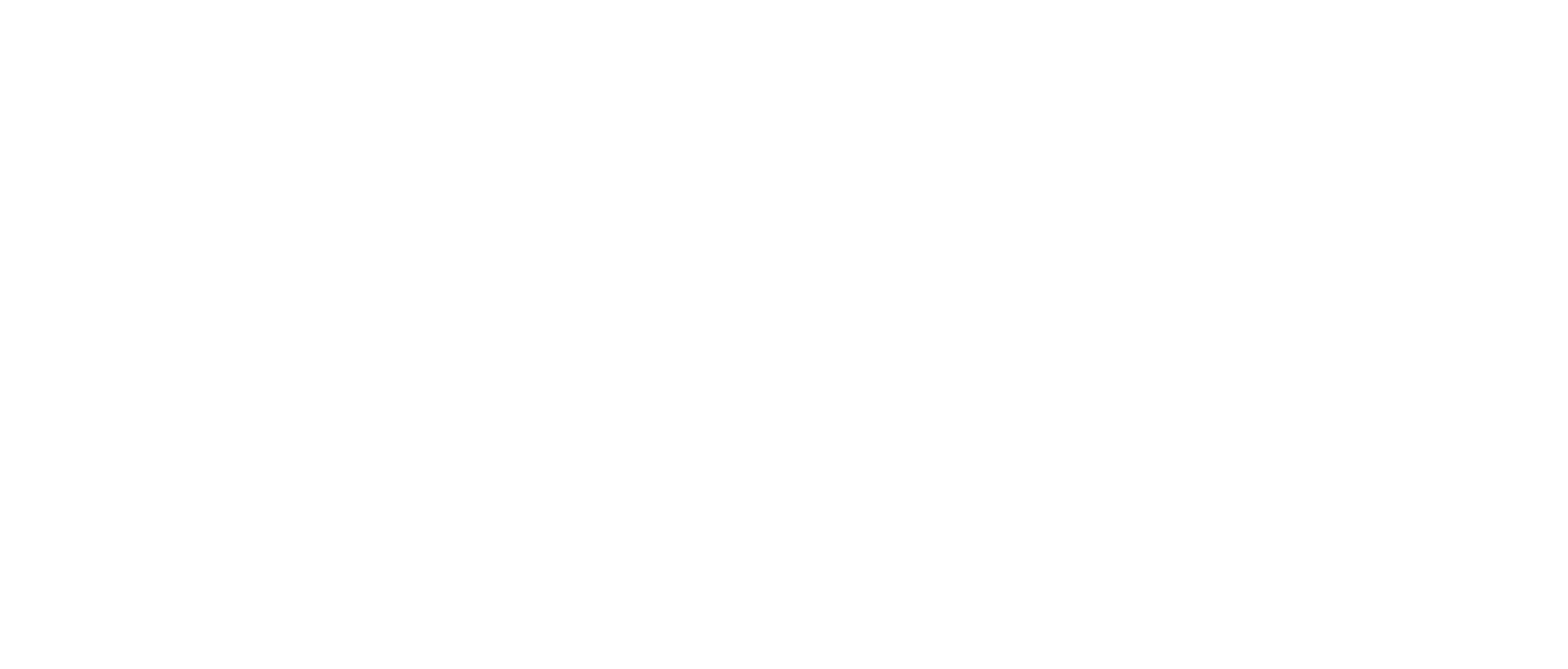 seo beratung hamburg logo